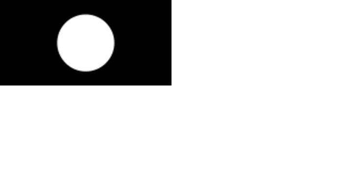 Ansarullah (Ahmadiyya): Organization