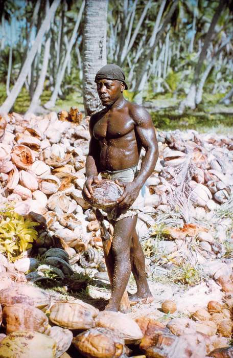 Chagossians: Ethnic classification for the pre-1969 inhabitants of the Chagos Islands
