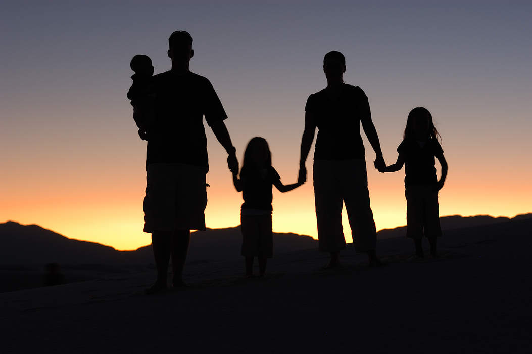 Dysfunctional family: Family dynamic