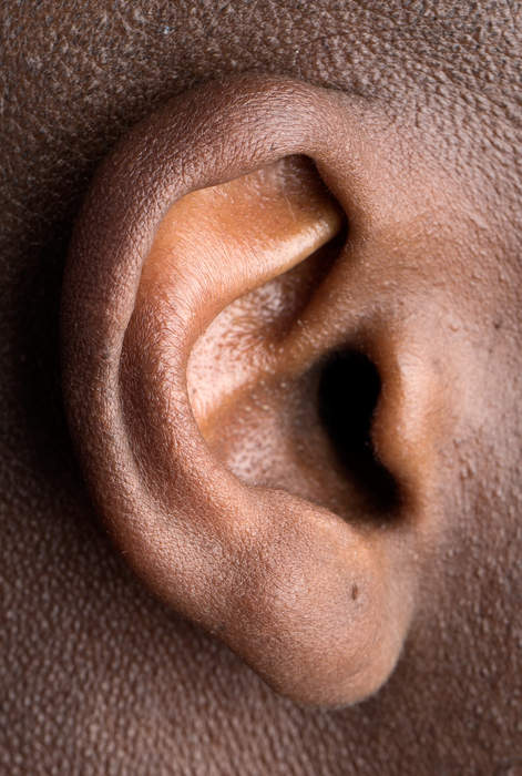 Ear: Organ of hearing and balance