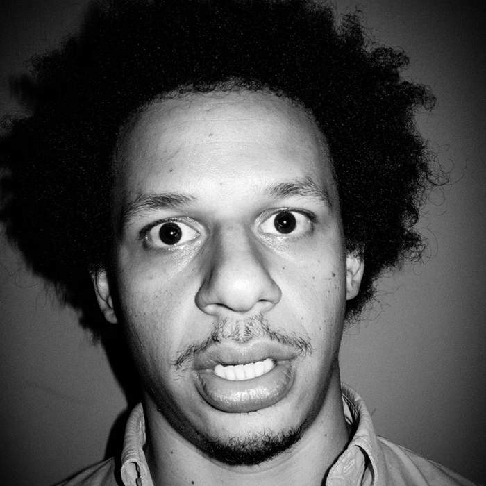 Eric André: American comedian and actor (born 1983)