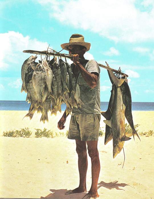 Fisherman: Person who takes fish and sells or trades it