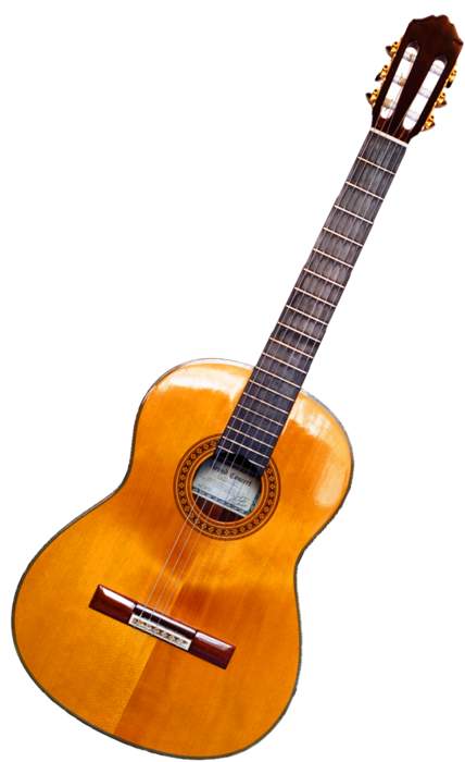 Guitar: Fretted string instrument