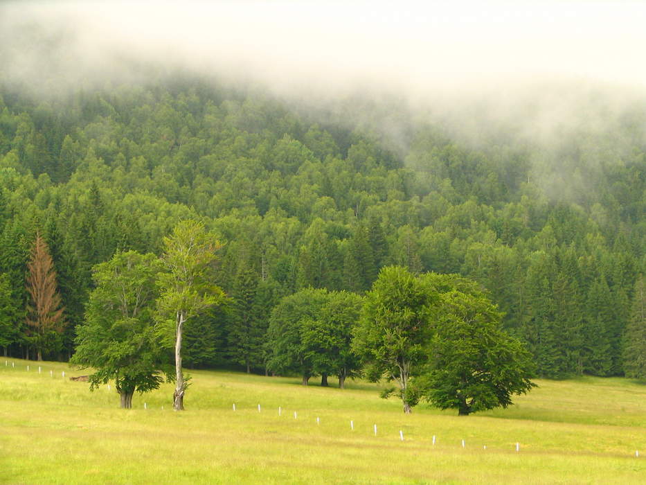 Harghita County: County of Romania