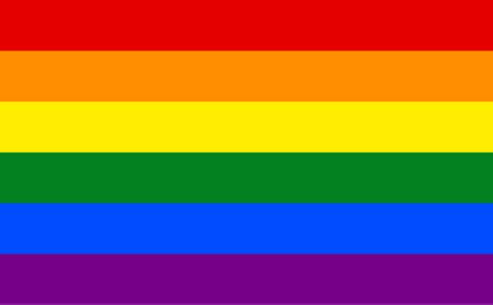 LGBTQ people: Lesbian, gay, bisexual, transgender, and queer people