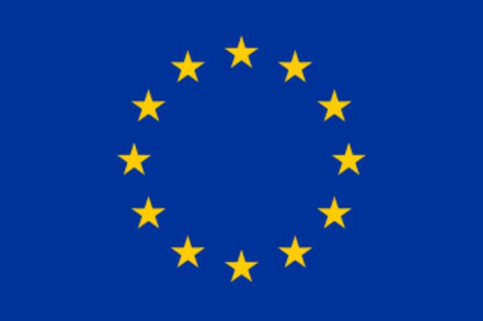 Member of the European Parliament: Person who has been elected to serve as a popular representative in the European Parliament