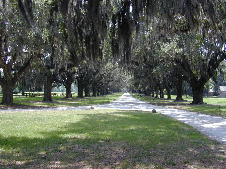 Mount Pleasant, South Carolina: Town in South Carolina, United States