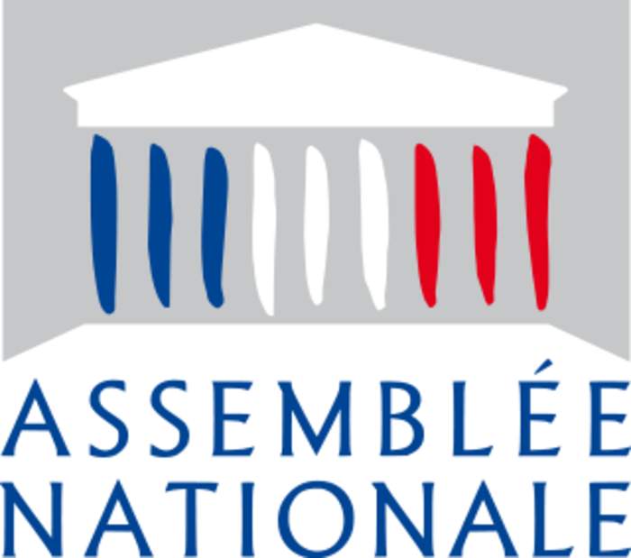 National Assembly (France): Lower house of the French Parliament