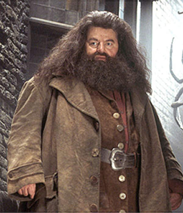 Rubeus Hagrid: Fictional character from Harry Potter