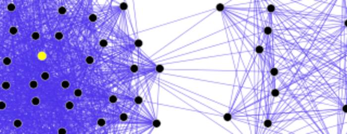 Society: Connected group of individuals