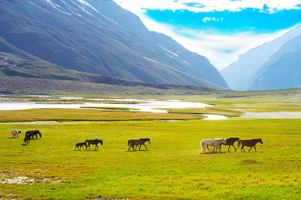 Suru Valley: Valley in Ladakh, India