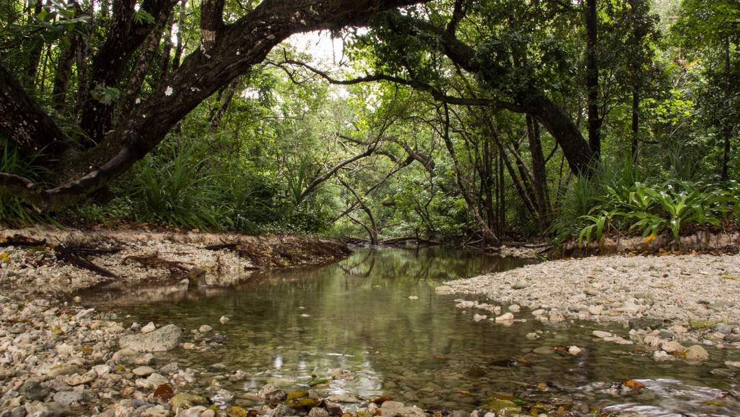 Ujung Kulon National Park: National park in Java, Indonesia