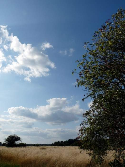 Wanstead Flats: Southernmost part of Epping Forest, England