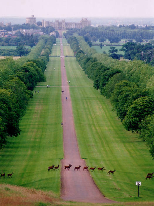 Windsor Great Park: Royal park in Southern England