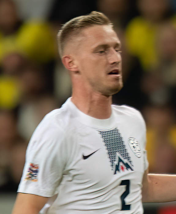 Žan Karničnik: Slovenian footballer